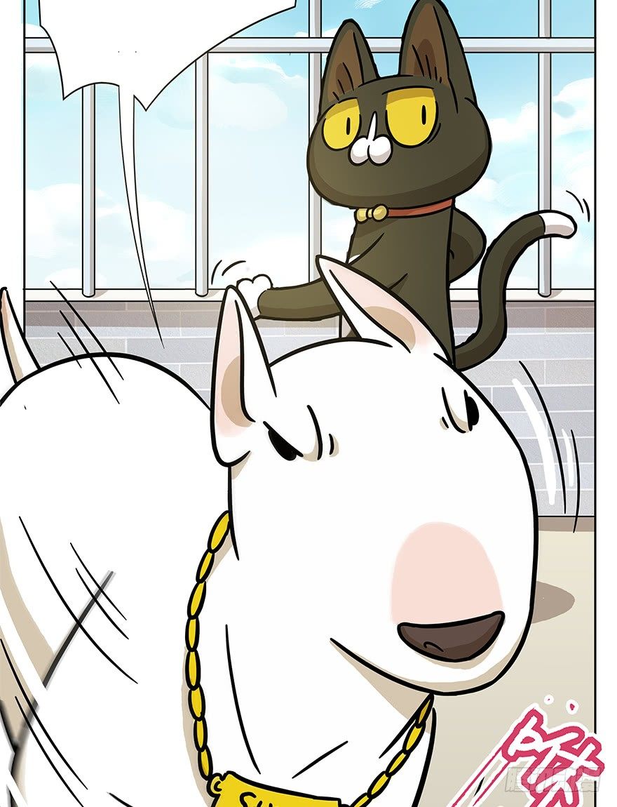 《回到过去变成猫外传》第51爪 送礼（下） 第11页