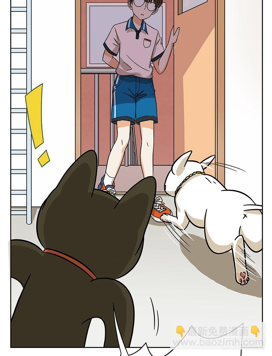 《回到过去变成猫外传》第51爪 送礼（下） 第13页