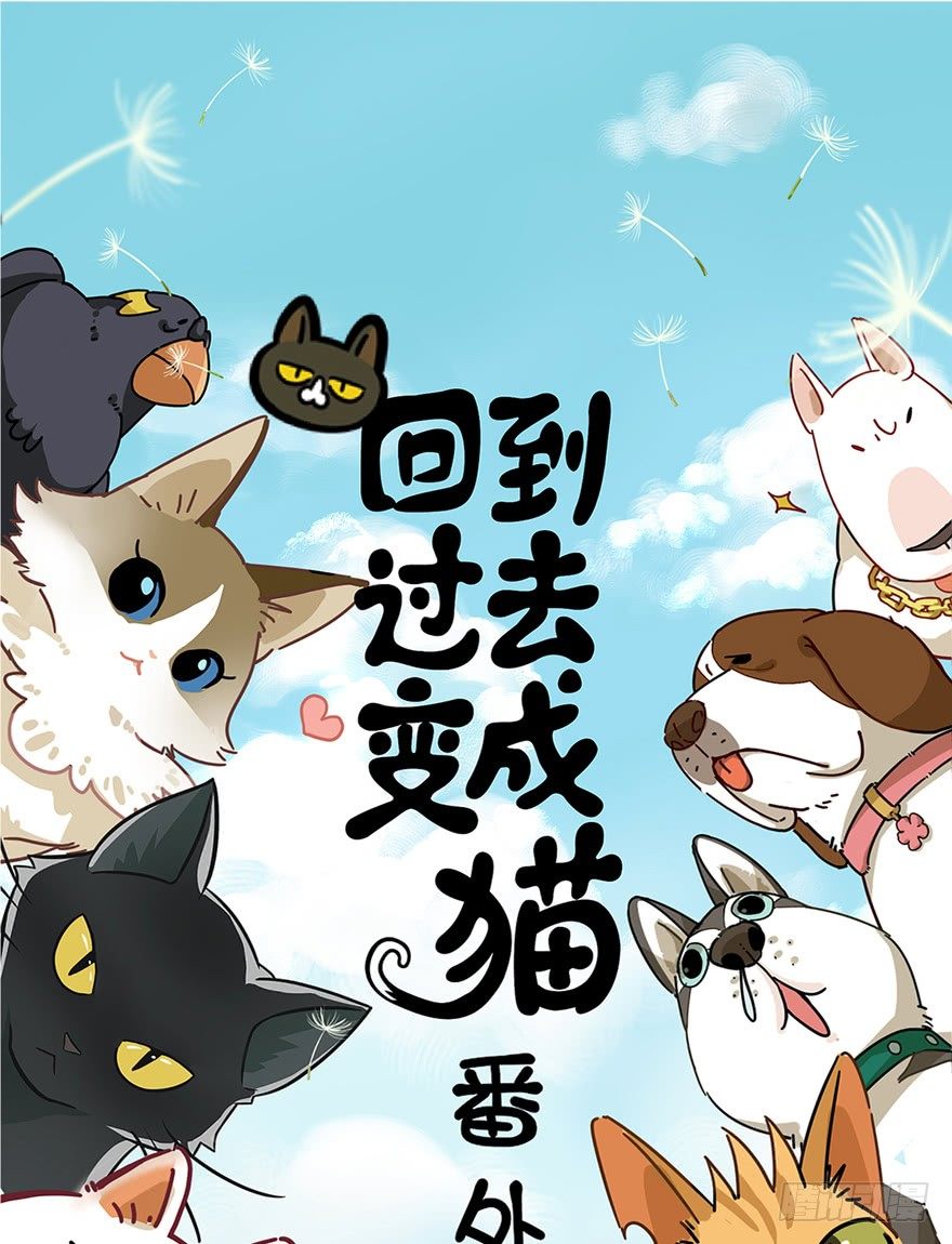 《回到过去变成猫外传》第51爪 送礼（下） 第1页