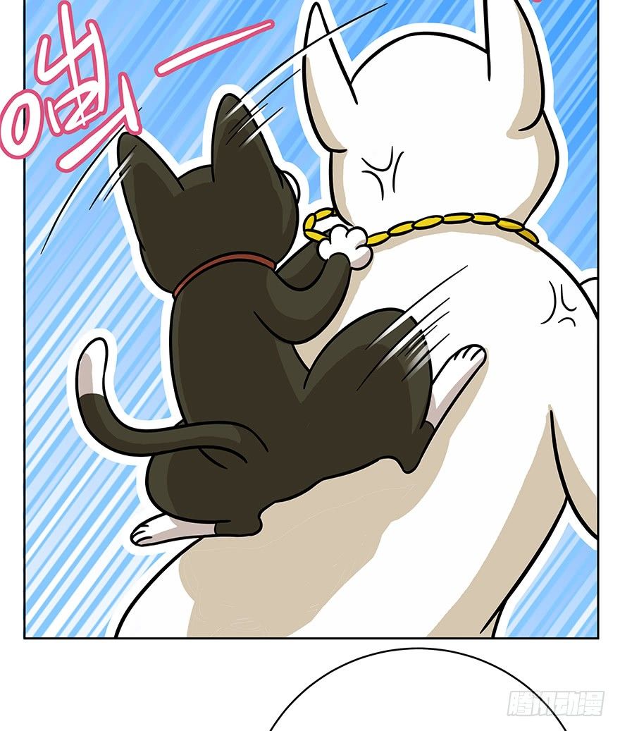 《回到过去变成猫外传》第51爪 送礼（下） 第22页