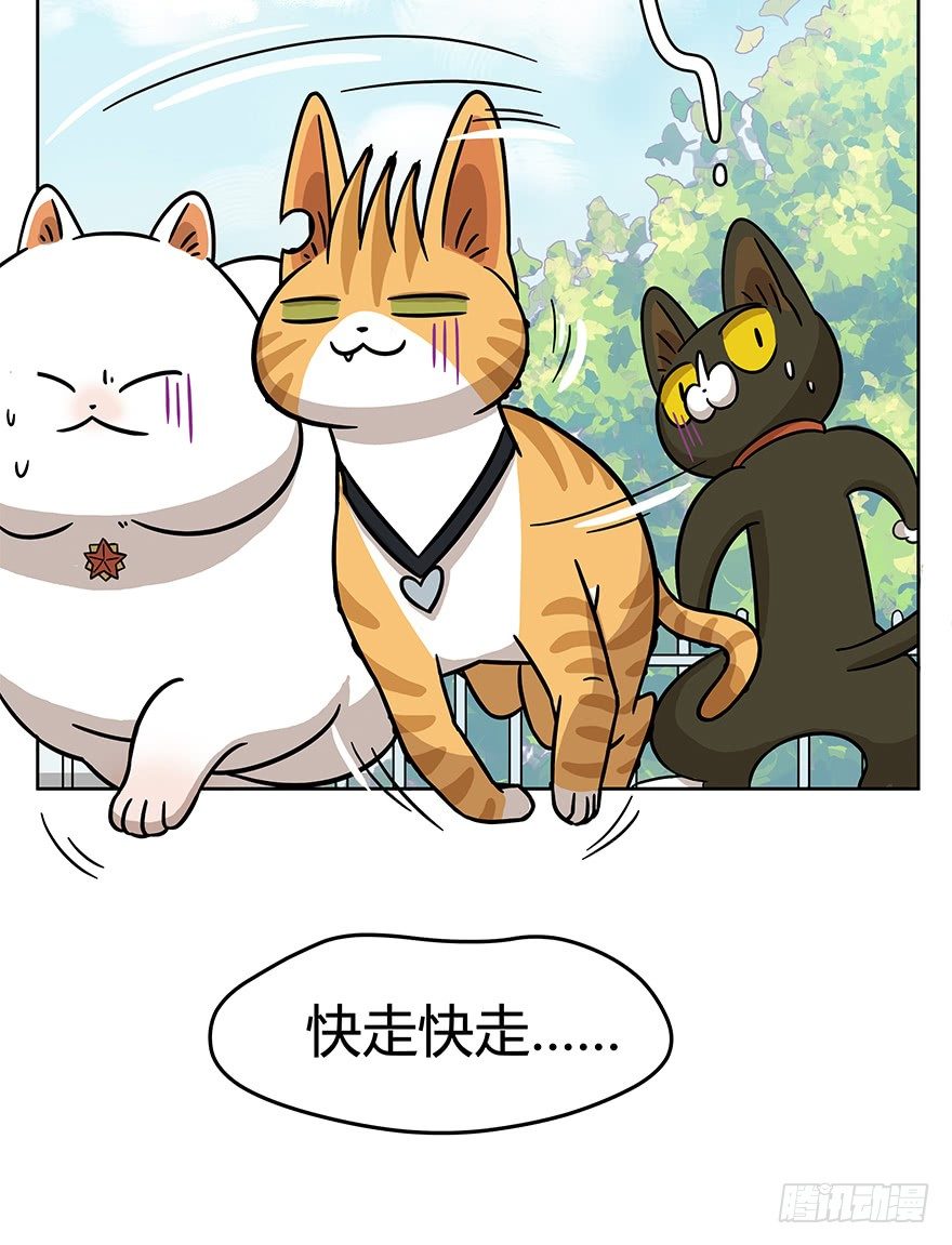 《回到过去变成猫外传》第51爪 送礼（下） 第4页