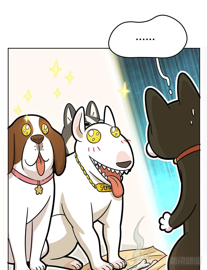 《回到过去变成猫外传》第51爪 送礼（下） 第5页