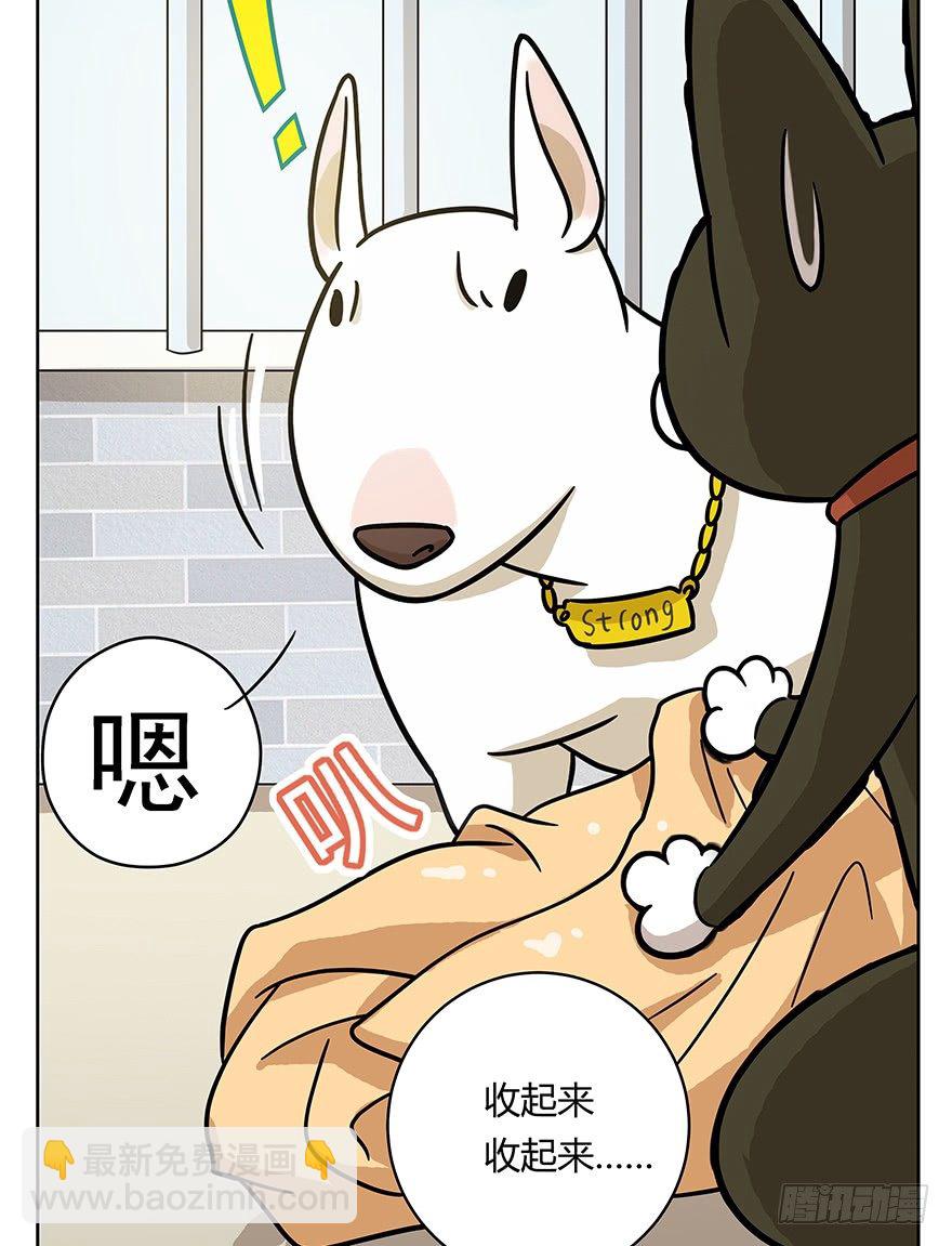 《回到过去变成猫外传》第51爪 送礼（下） 第8页