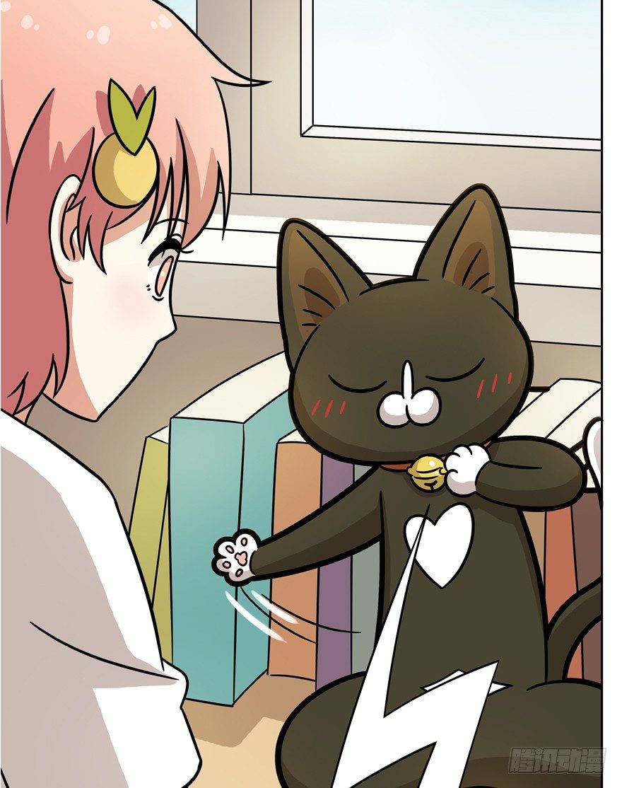 《回到过去变成猫外传》第53爪 冒牌货的“逆袭” 第13页