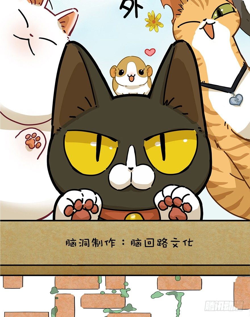 《回到过去变成猫外传》第53爪 冒牌货的“逆袭” 第2页