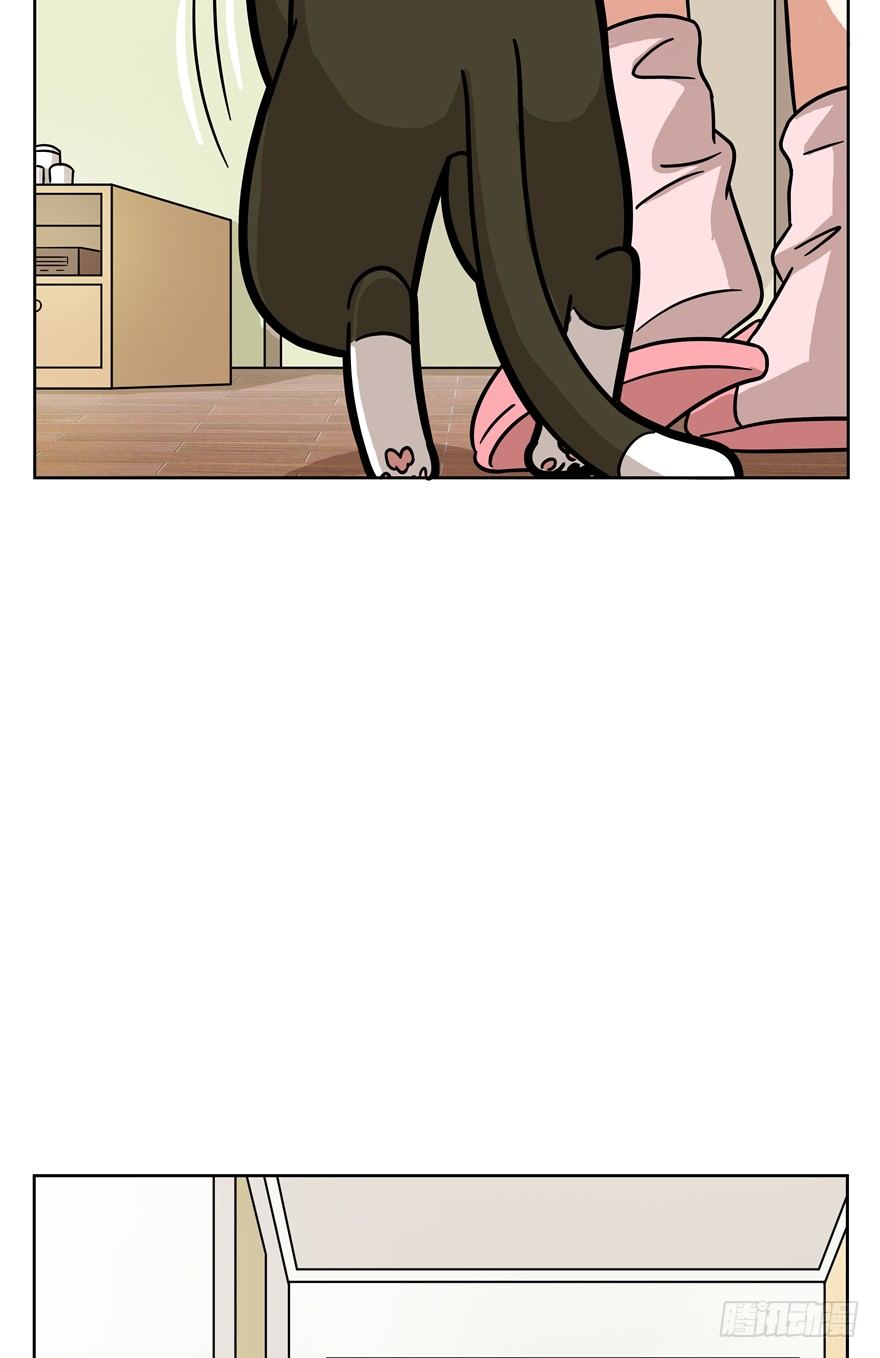《回到过去变成猫外传》第54爪 不能失去（上） 第14页
