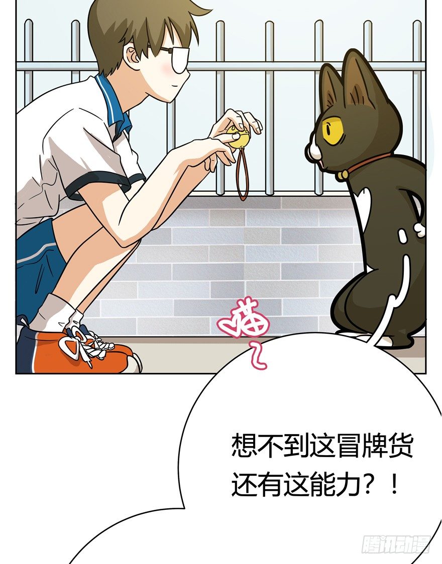 《回到过去变成猫外传》第52爪 胜利的曙光 第16页