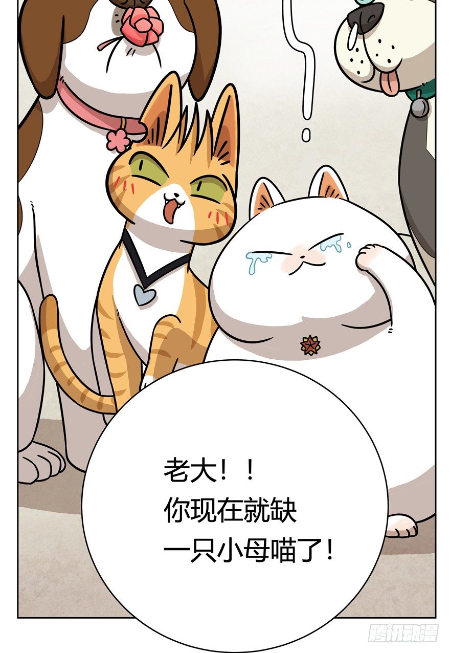 《回到过去变成猫外传》第52爪 胜利的曙光 第27页