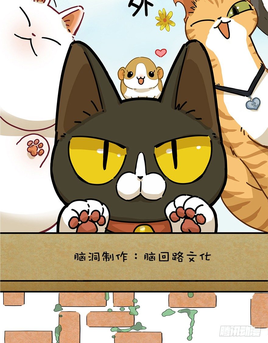 《回到过去变成猫外传》第52爪 胜利的曙光 第2页
