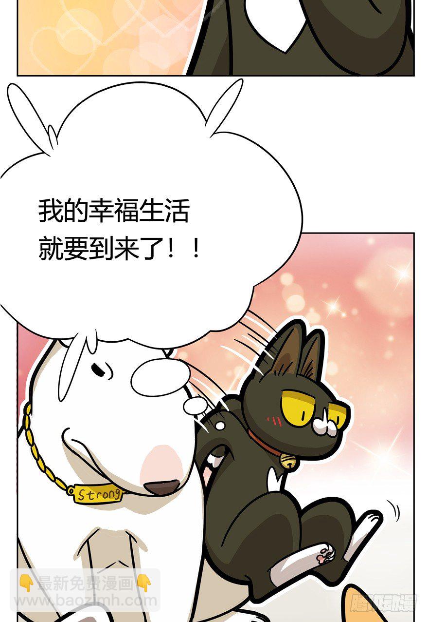 《回到过去变成猫外传》第52爪 胜利的曙光 第31页
