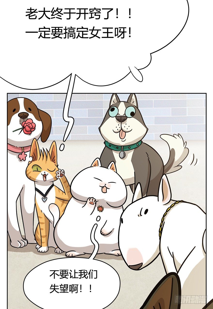 《回到过去变成猫外传》第52爪 胜利的曙光 第33页