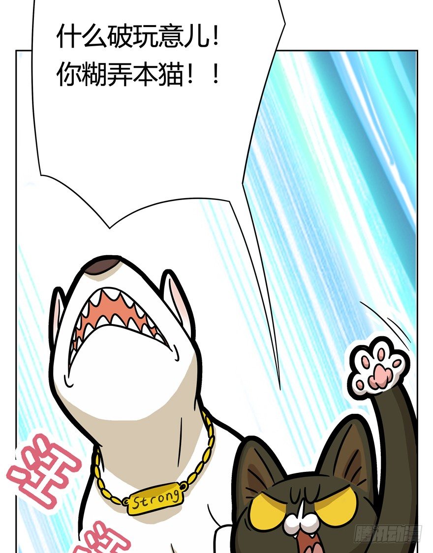 《回到过去变成猫外传》第52爪 胜利的曙光 第7页