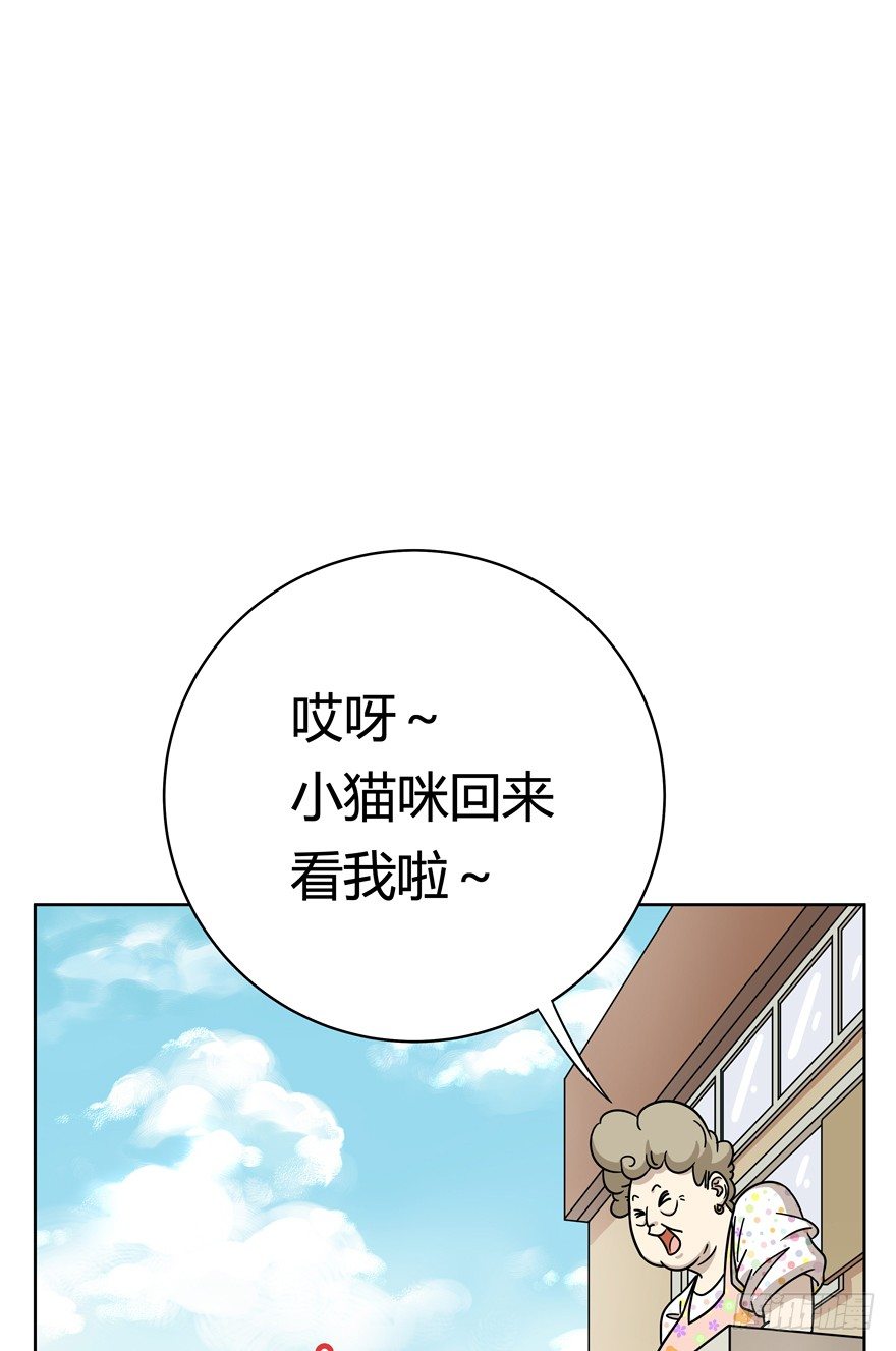 《回到过去变成猫外传》第56爪 我的身份 第16页