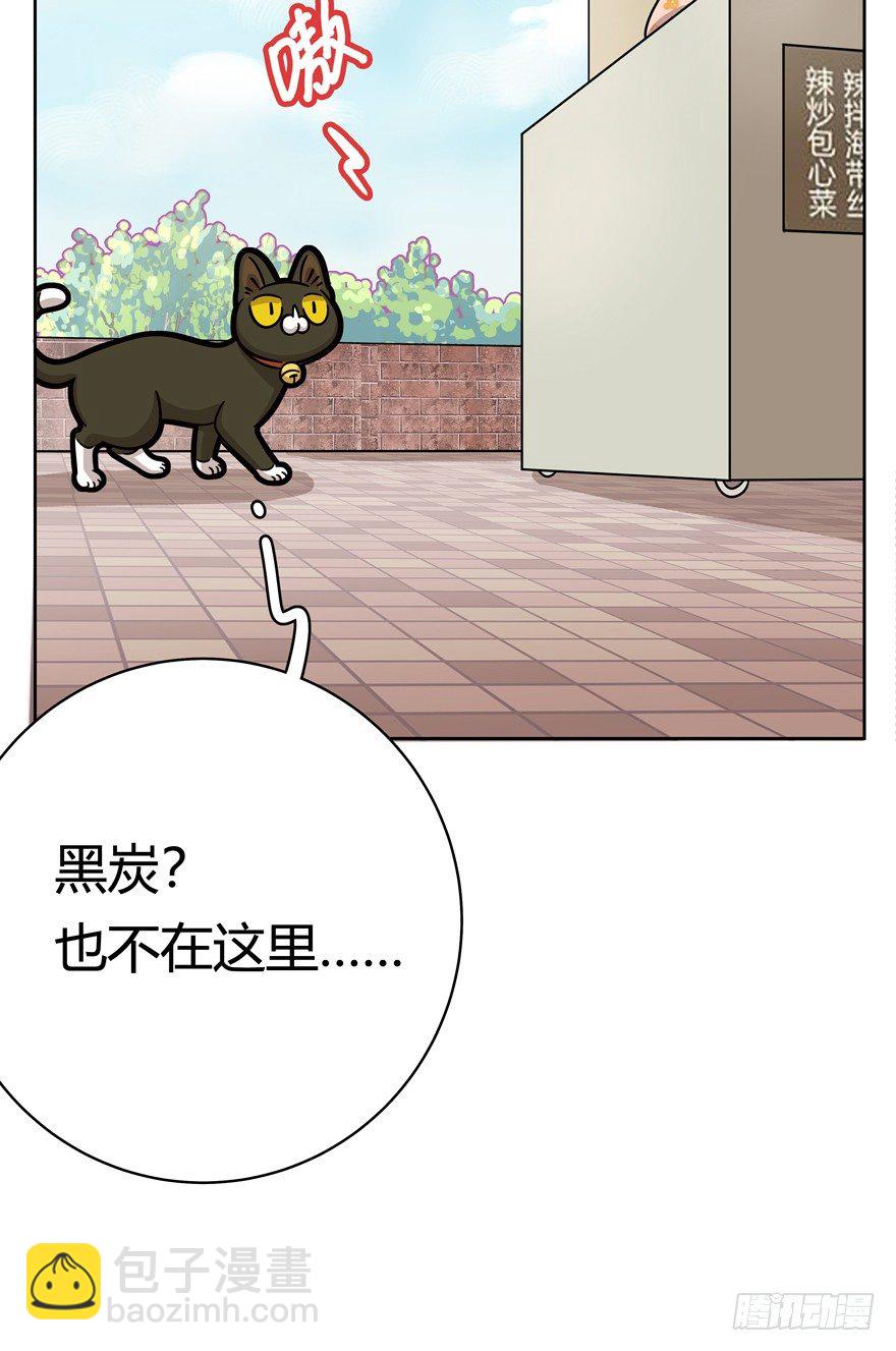 《回到过去变成猫外传》第56爪 我的身份 第17页