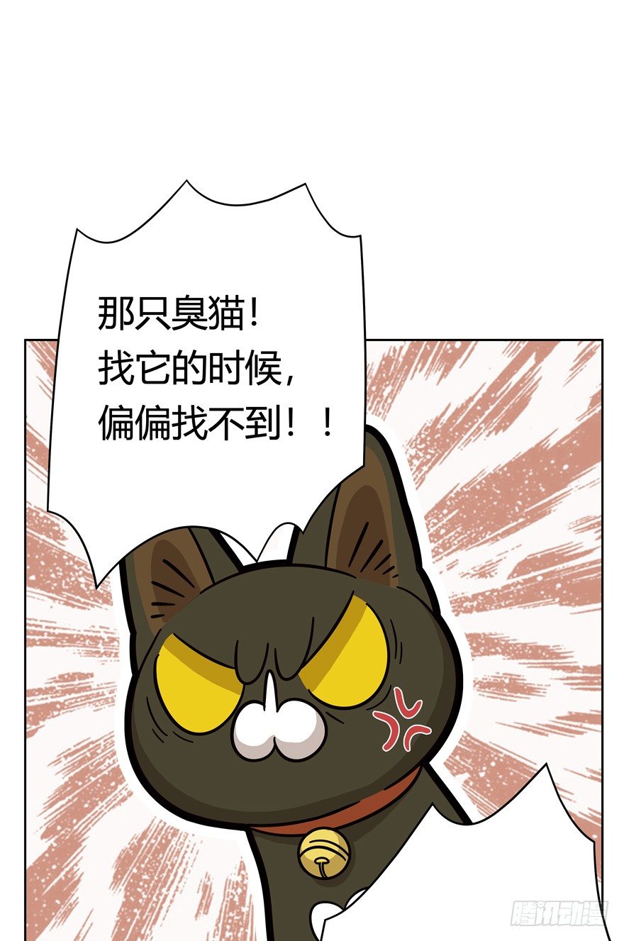 《回到过去变成猫外传》第56爪 我的身份 第18页