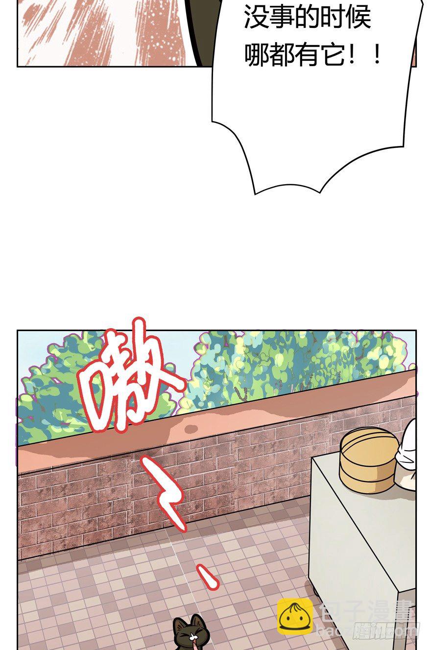 《回到过去变成猫外传》第56爪 我的身份 第19页