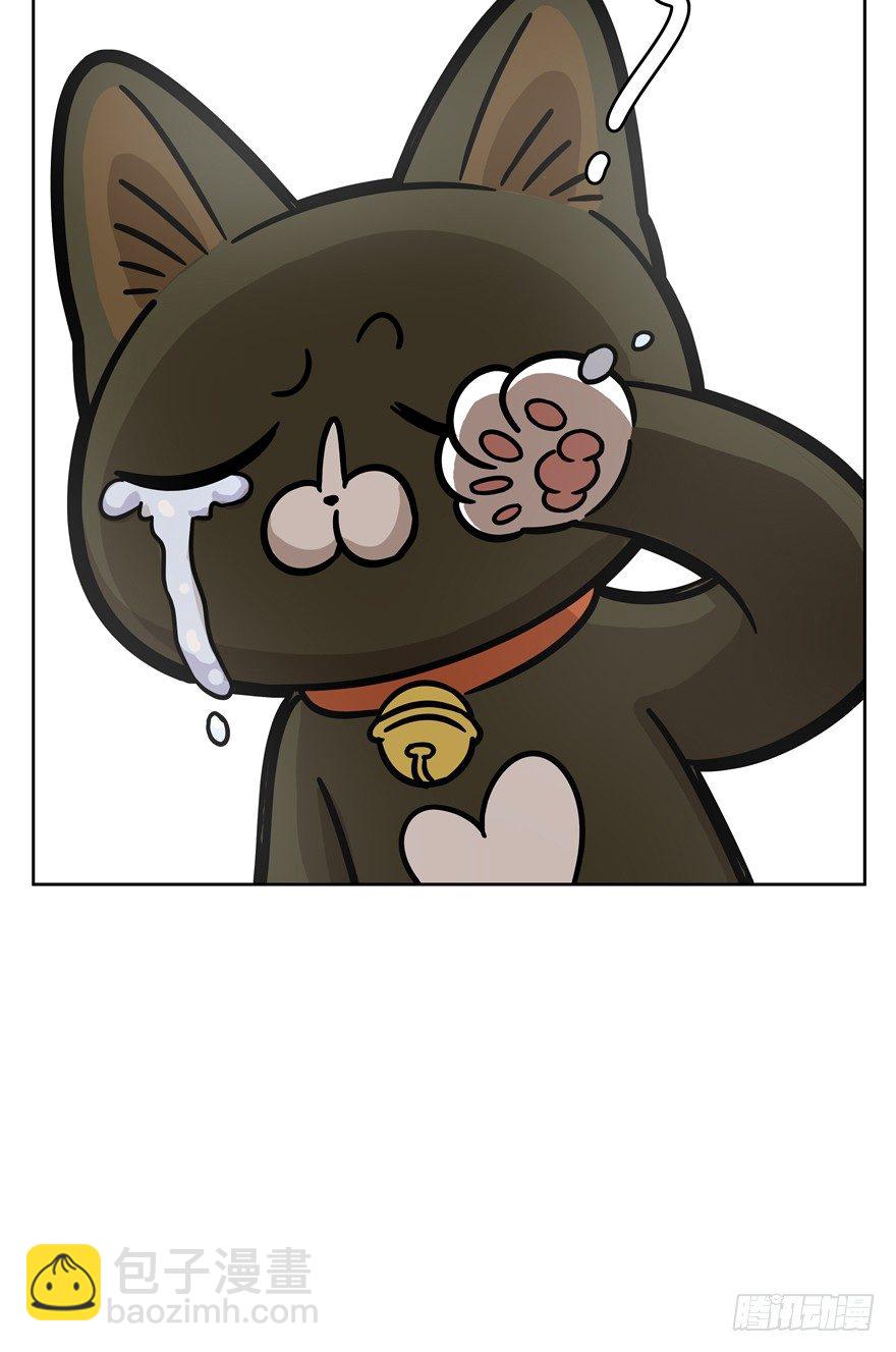 《回到过去变成猫外传》第56爪 我的身份 第26页