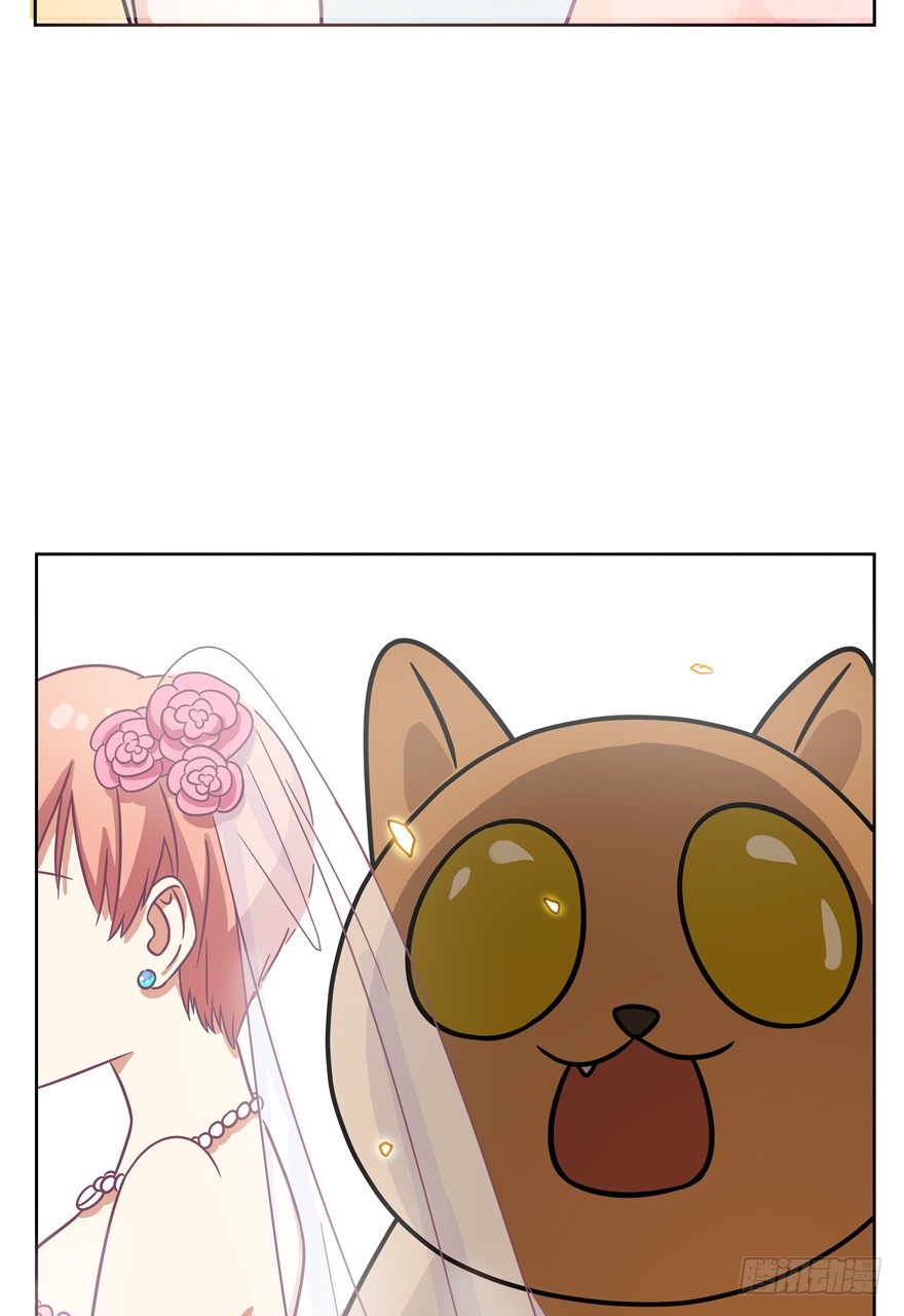 《回到过去变成猫外传》第56爪 我的身份 第38页