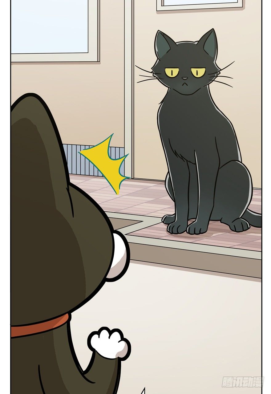 《回到过去变成猫外传》第56爪 我的身份 第42页