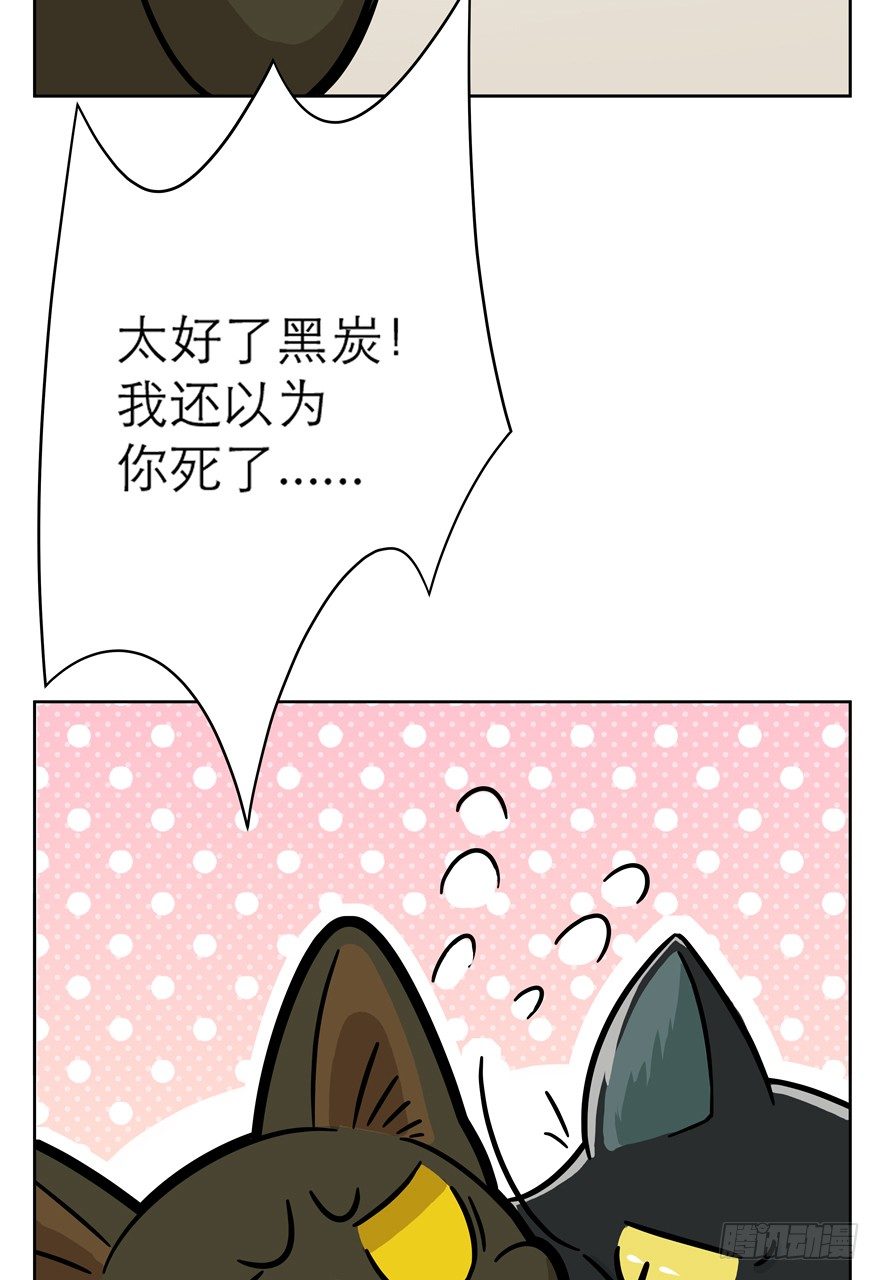 《回到过去变成猫外传》第56爪 我的身份 第43页