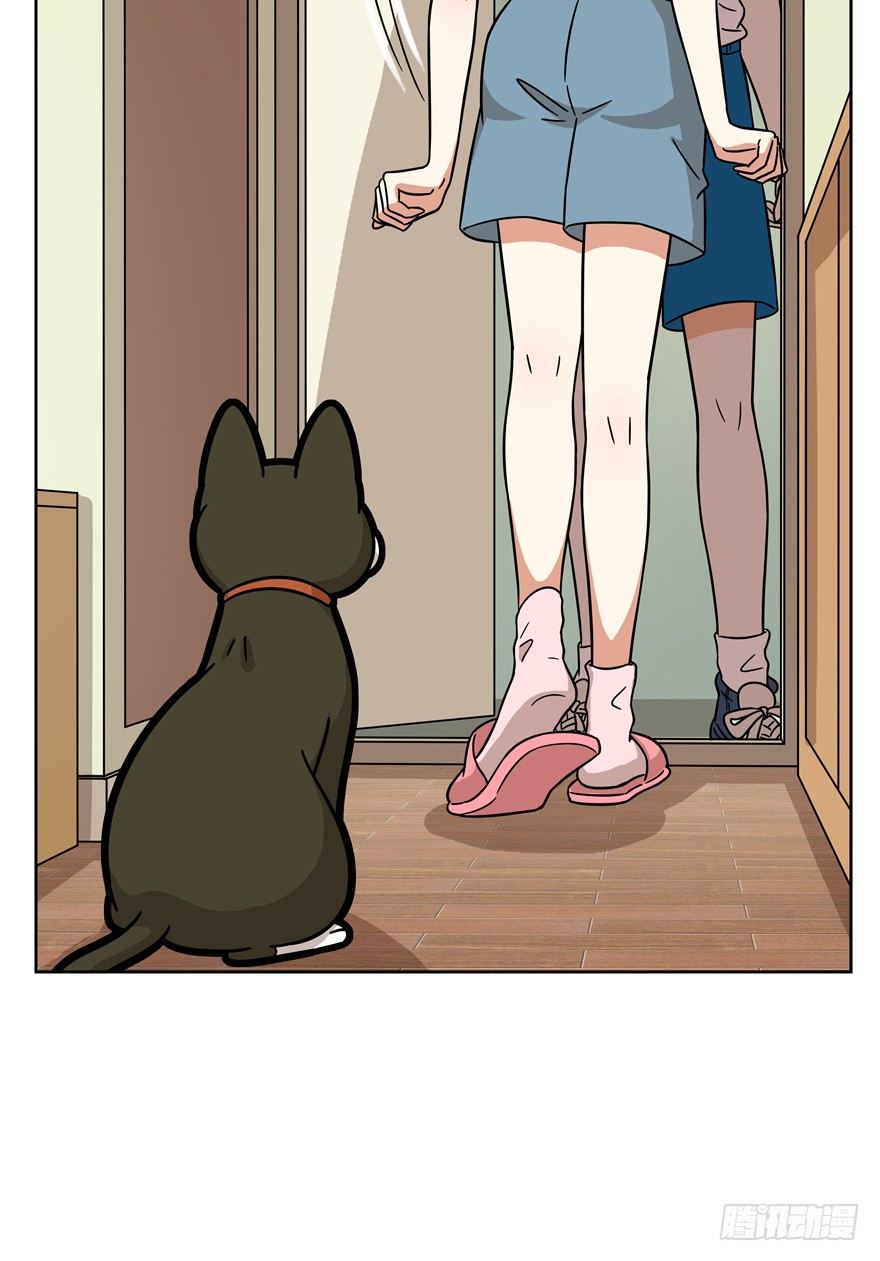 《回到过去变成猫外传》第55爪 不能失去（下） 第18页