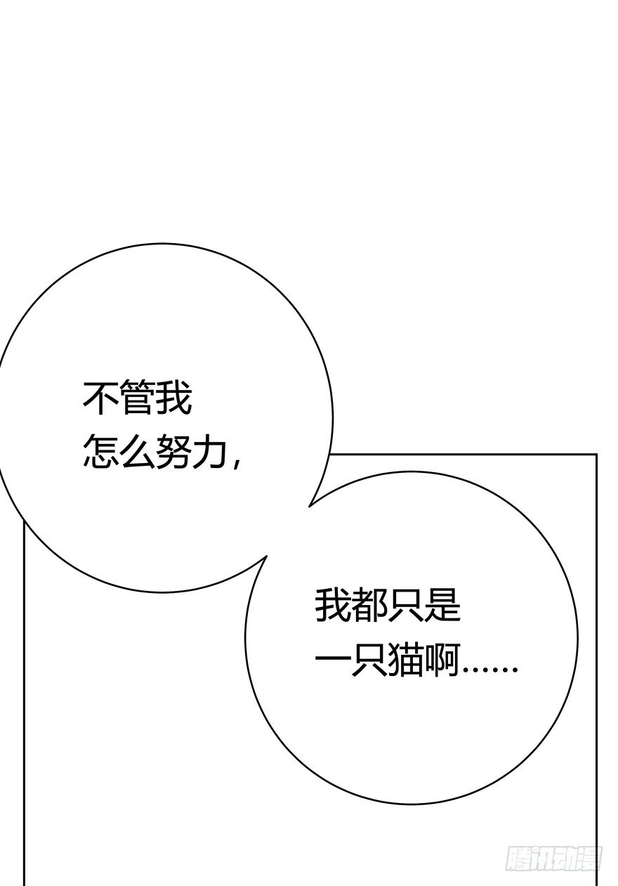 《回到过去变成猫外传》第55爪 不能失去（下） 第19页