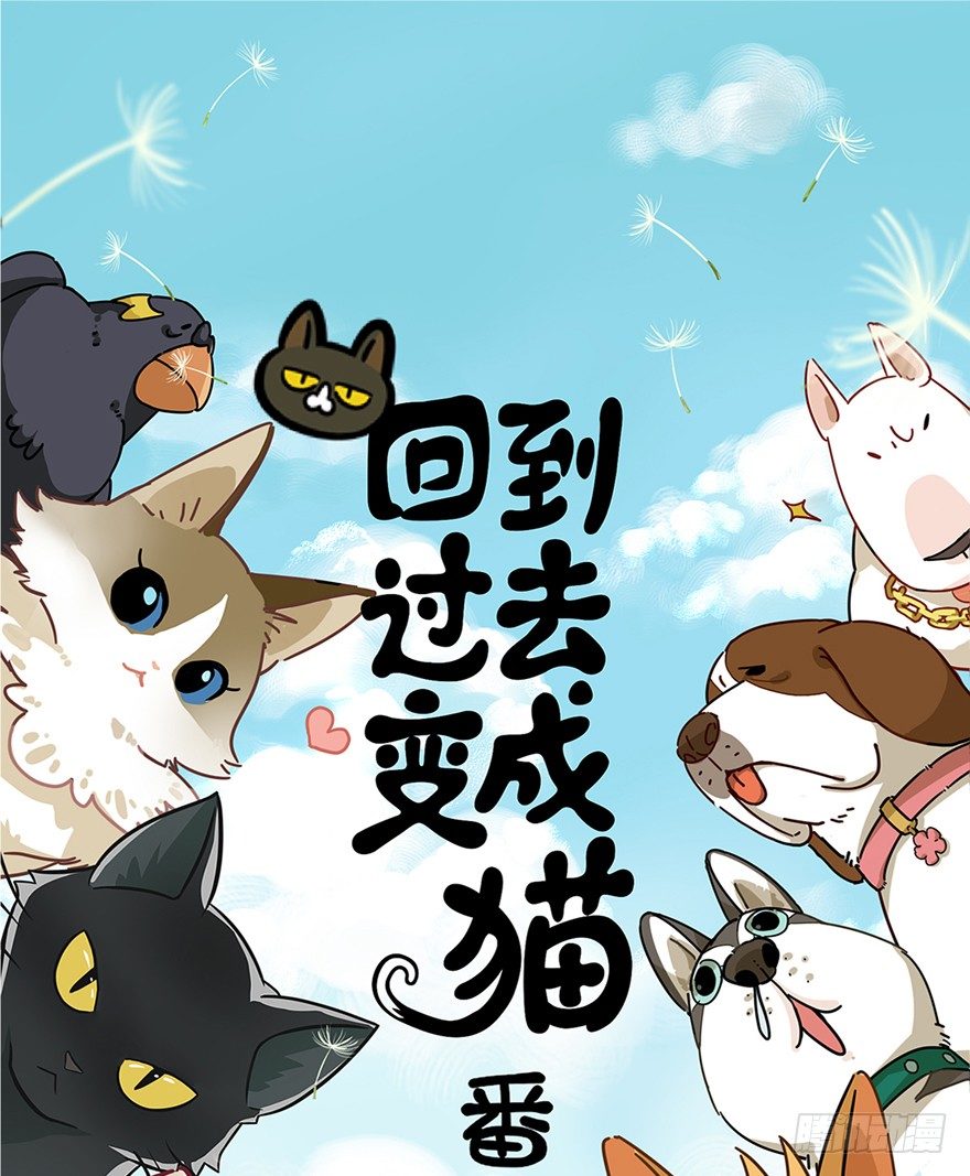 《回到过去变成猫外传》第55爪 不能失去（下） 第1页