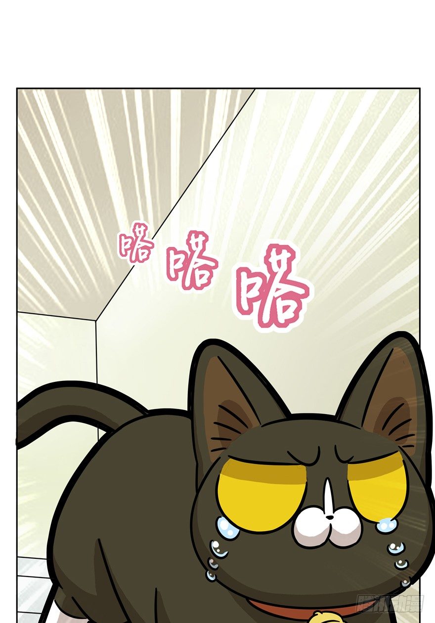 《回到过去变成猫外传》第55爪 不能失去（下） 第28页