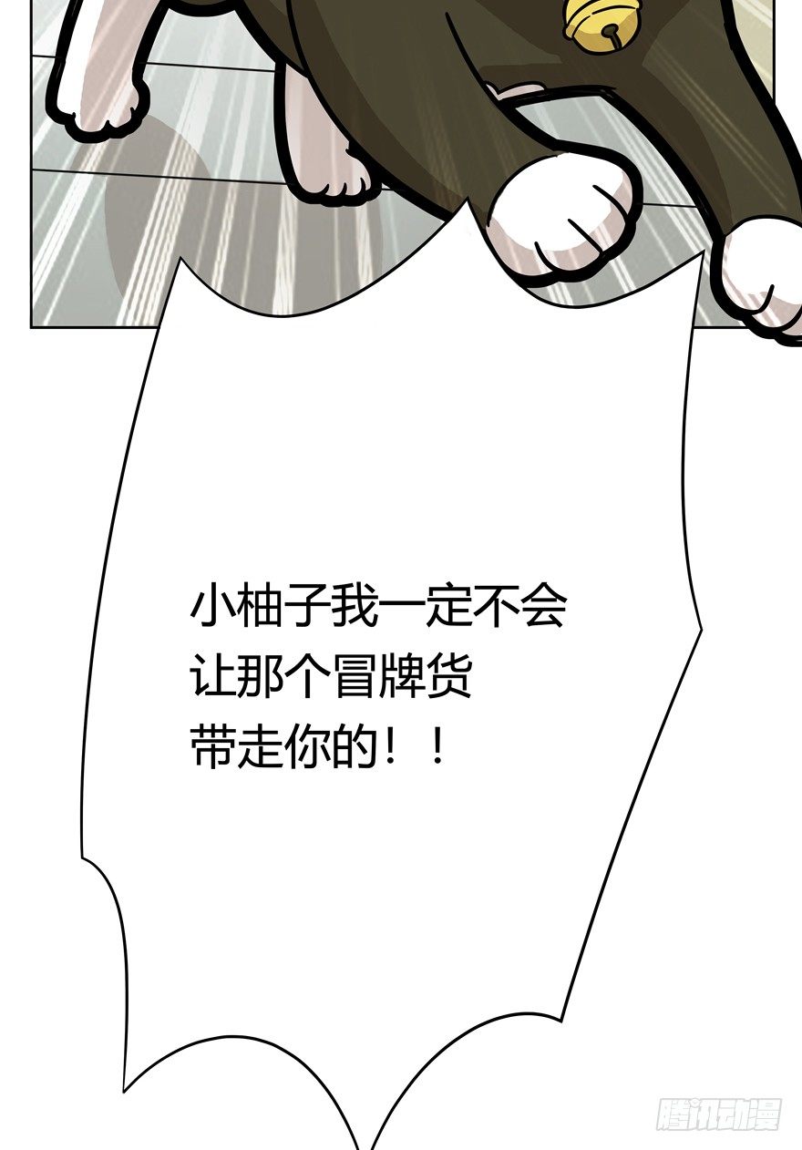 《回到过去变成猫外传》第55爪 不能失去（下） 第29页
