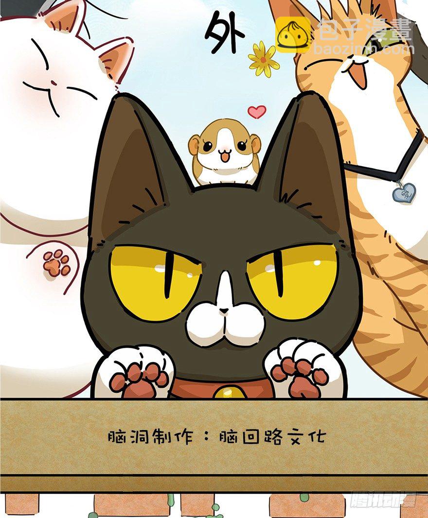《回到过去变成猫外传》第55爪 不能失去（下） 第2页