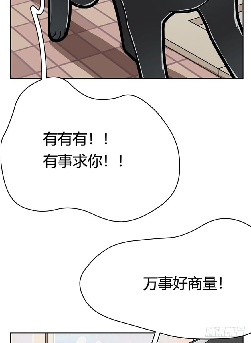《回到过去变成猫外传》第57爪 小爷我是人 第14页