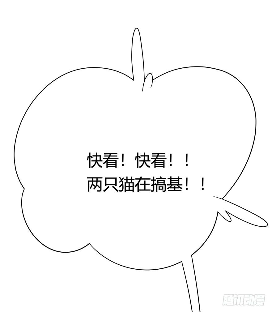 《回到过去变成猫外传》第57爪 小爷我是人 第16页