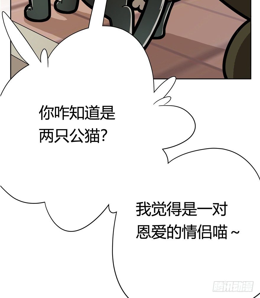 《回到过去变成猫外传》第57爪 小爷我是人 第19页