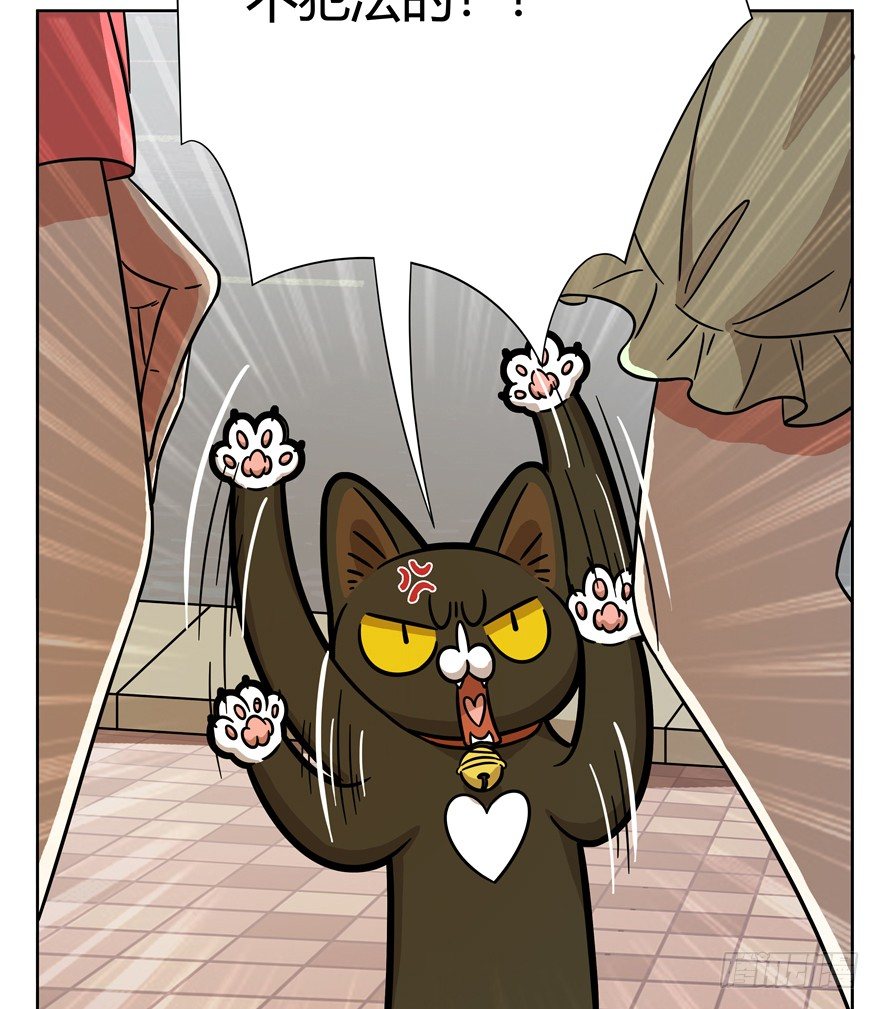 《回到过去变成猫外传》第57爪 小爷我是人 第21页