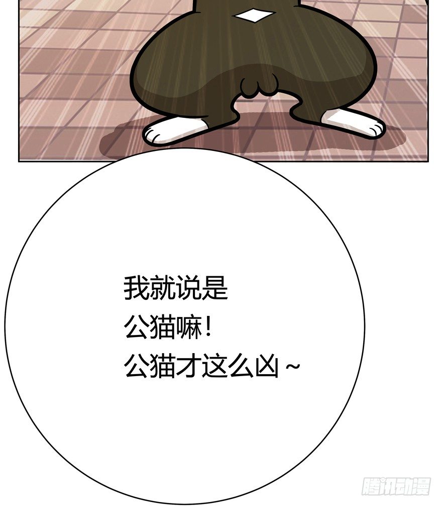 《回到过去变成猫外传》第57爪 小爷我是人 第22页