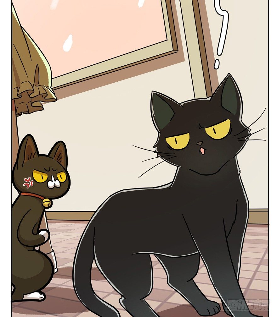 《回到过去变成猫外传》第57爪 小爷我是人 第24页