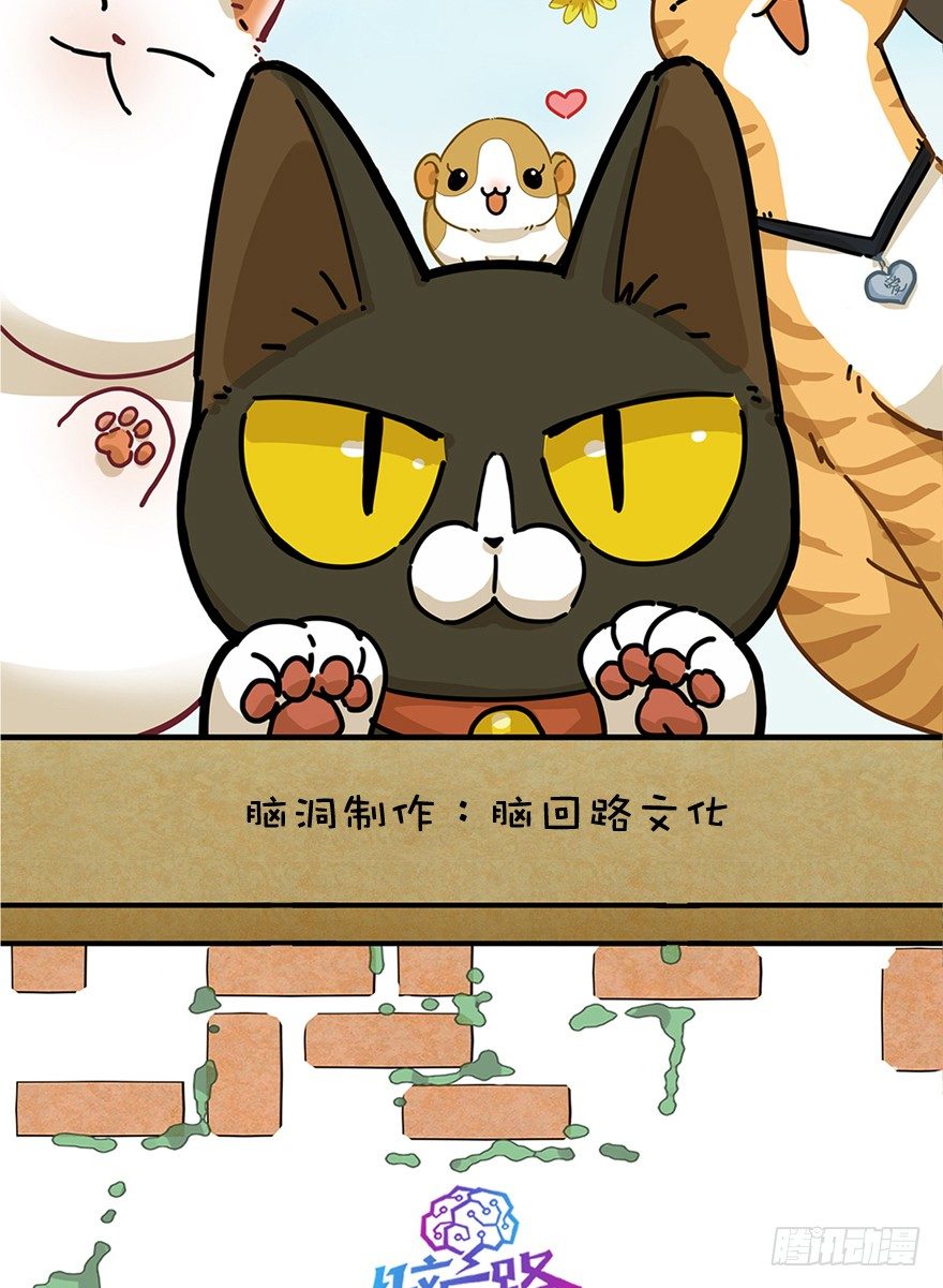 《回到过去变成猫外传》第57爪 小爷我是人 第2页