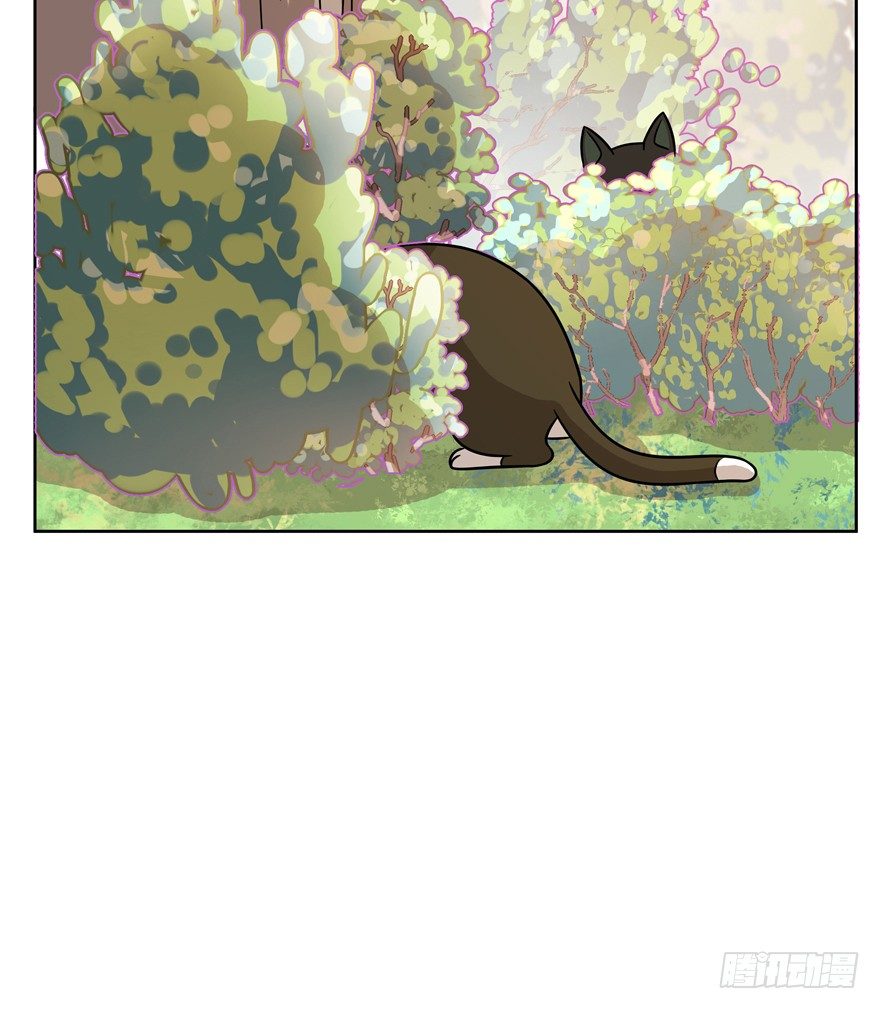 《回到过去变成猫外传》第57爪 小爷我是人 第30页