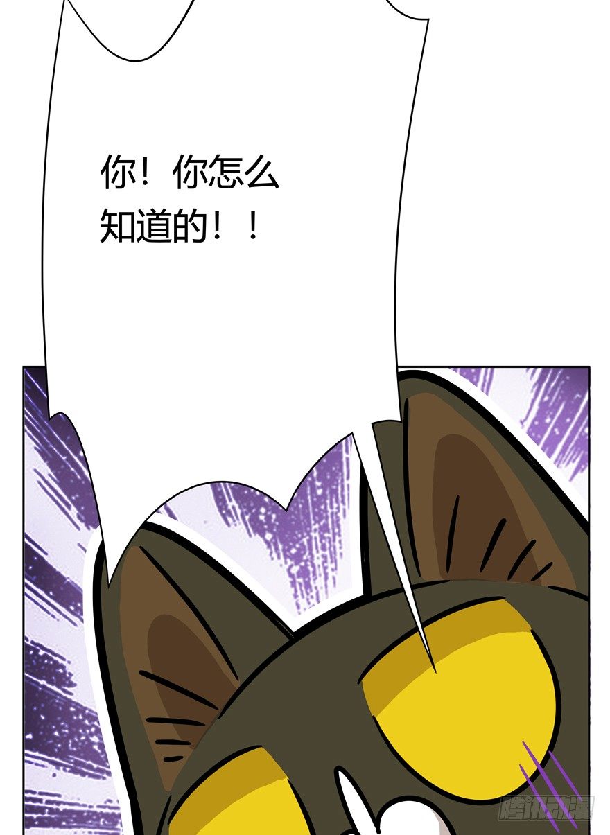 《回到过去变成猫外传》第57爪 小爷我是人 第36页