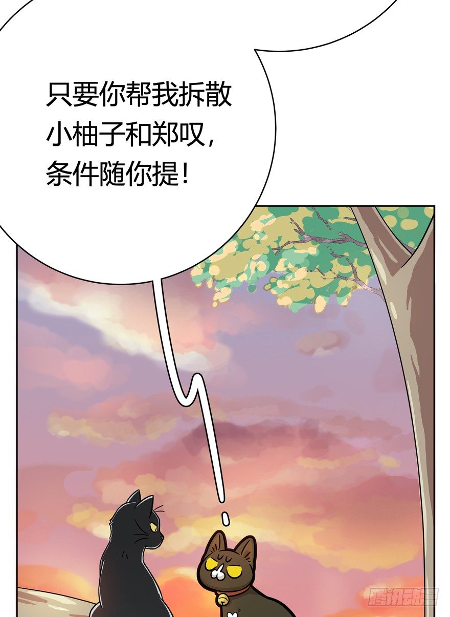 《回到过去变成猫外传》第57爪 小爷我是人 第39页