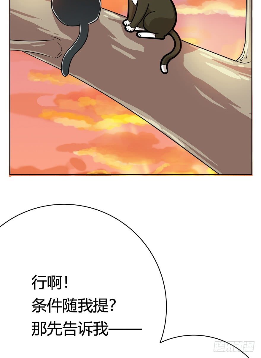 《回到过去变成猫外传》第57爪 小爷我是人 第40页