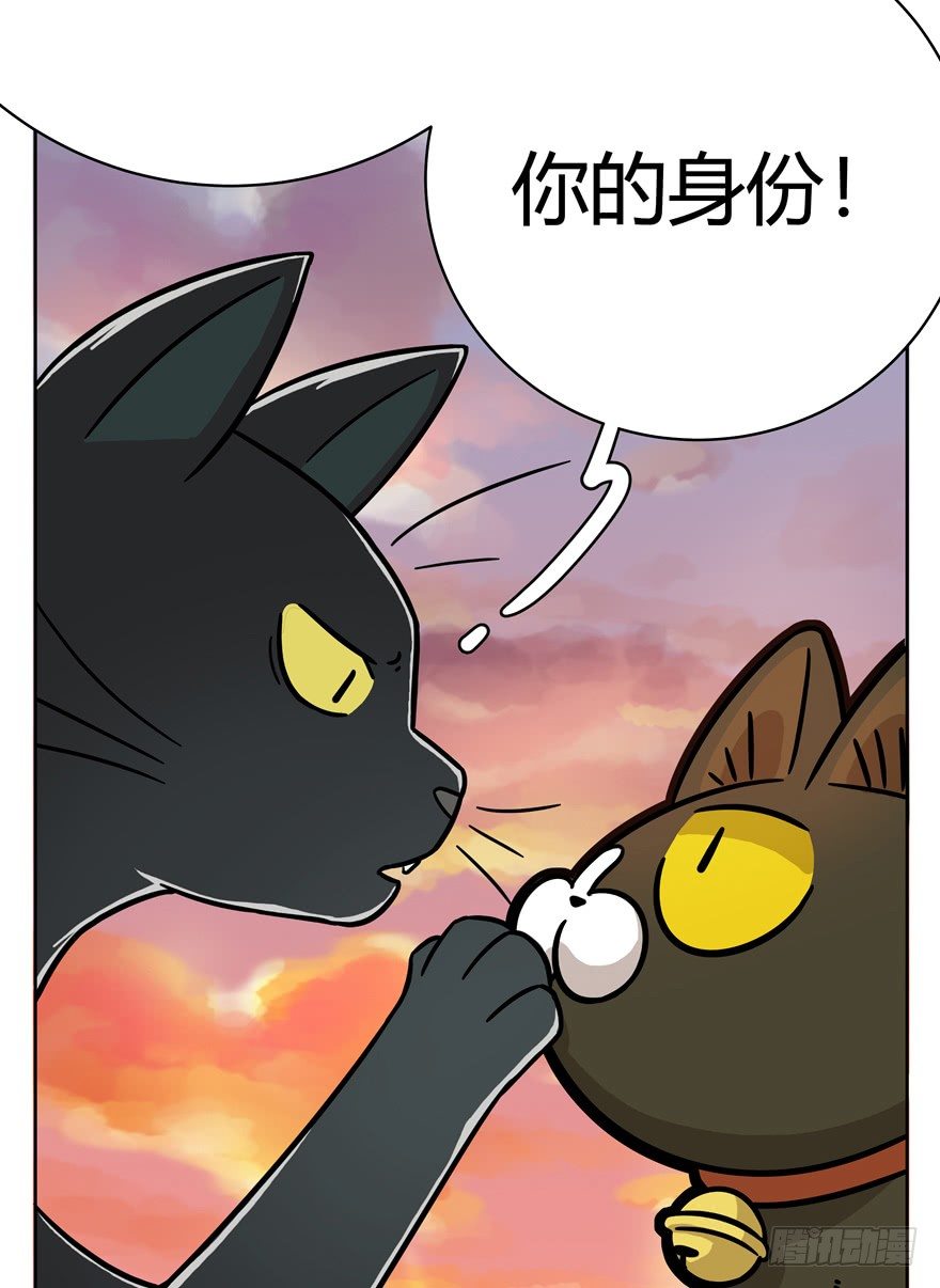 《回到过去变成猫外传》第57爪 小爷我是人 第41页