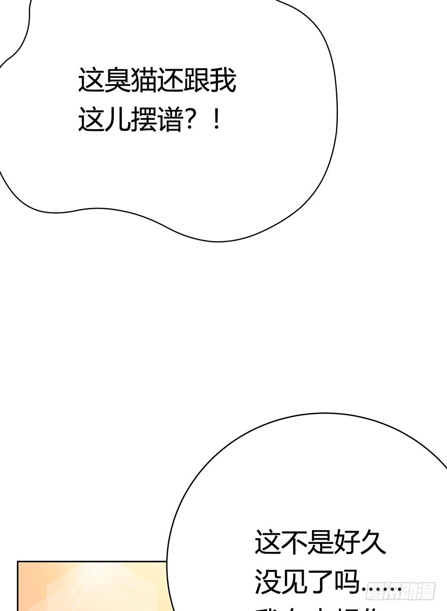 《回到过去变成猫外传》第57爪 小爷我是人 第4页