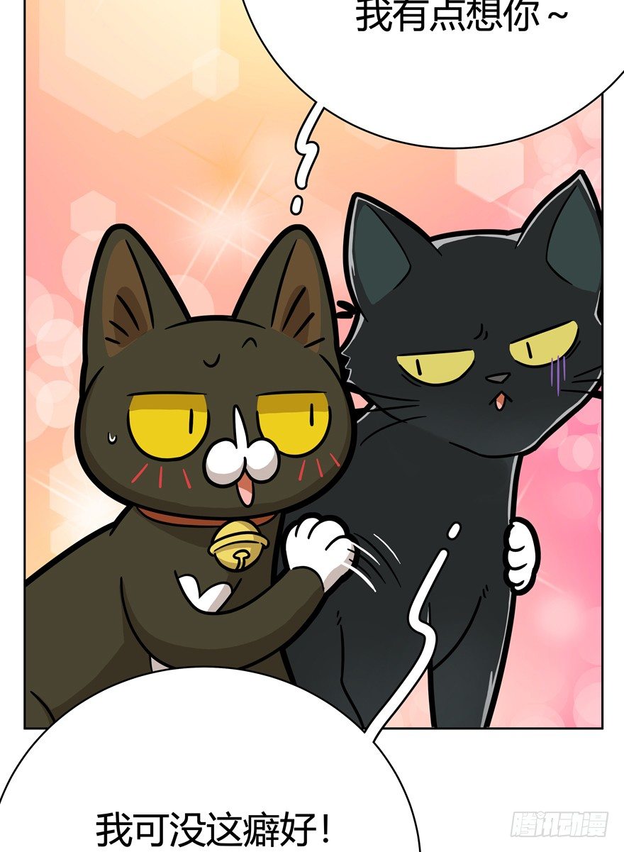 《回到过去变成猫外传》第57爪 小爷我是人 第5页