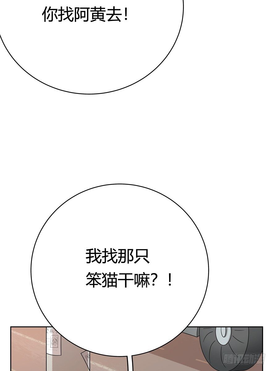 《回到过去变成猫外传》第57爪 小爷我是人 第6页