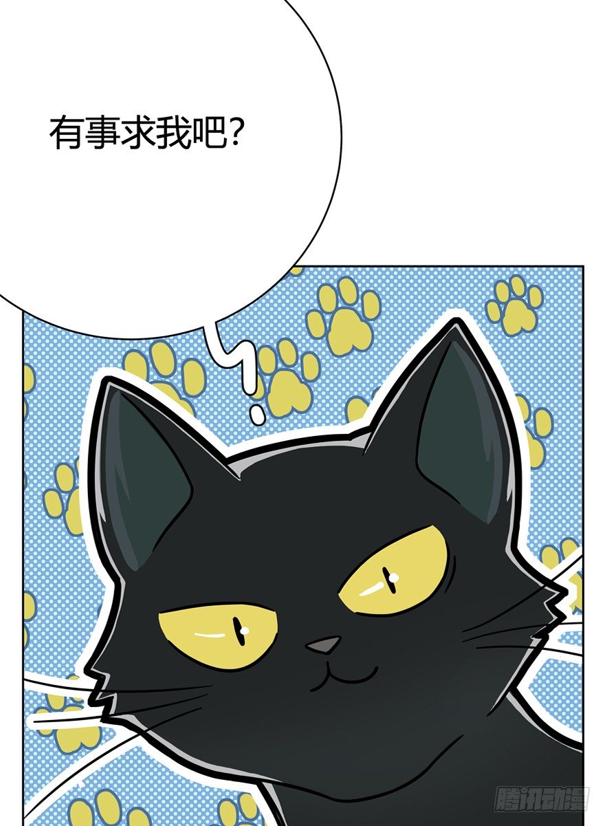 《回到过去变成猫外传》第57爪 小爷我是人 第9页