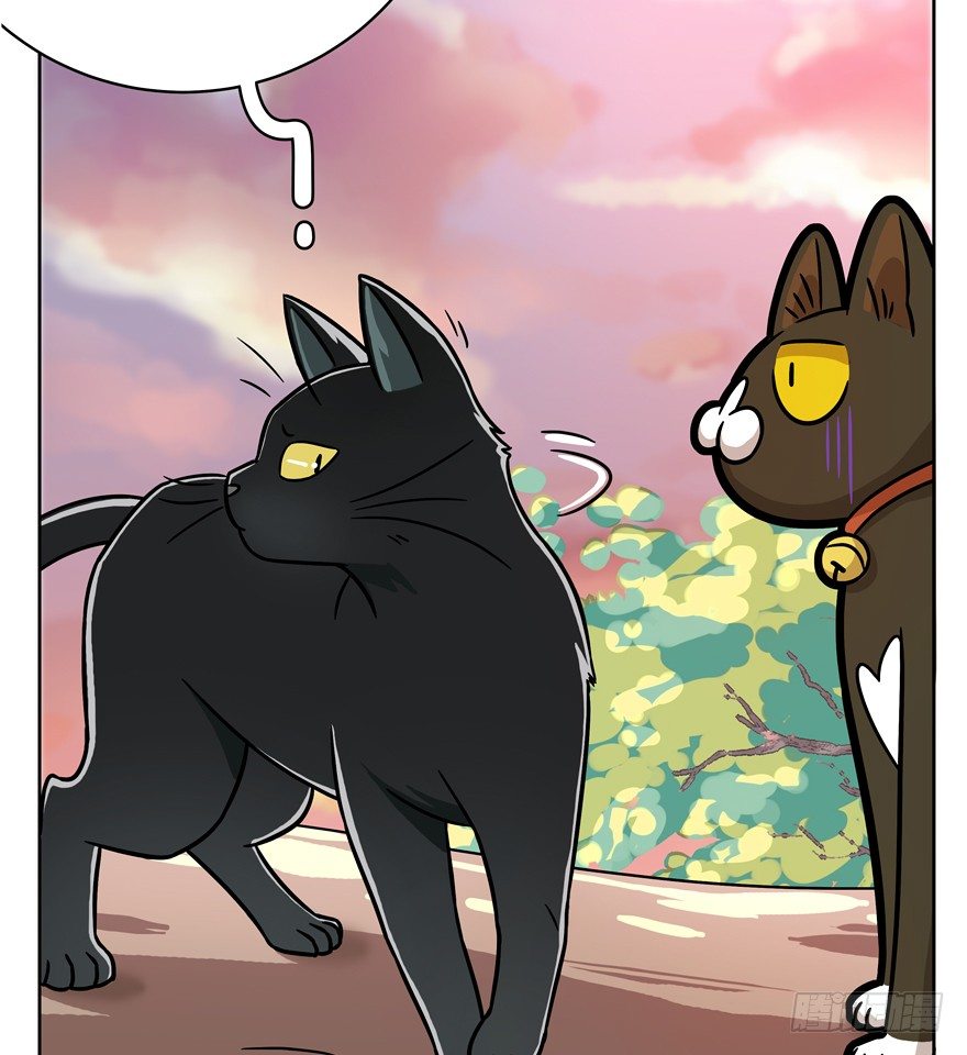 《回到过去变成猫外传》第58爪 到底是谁（上） 第15页