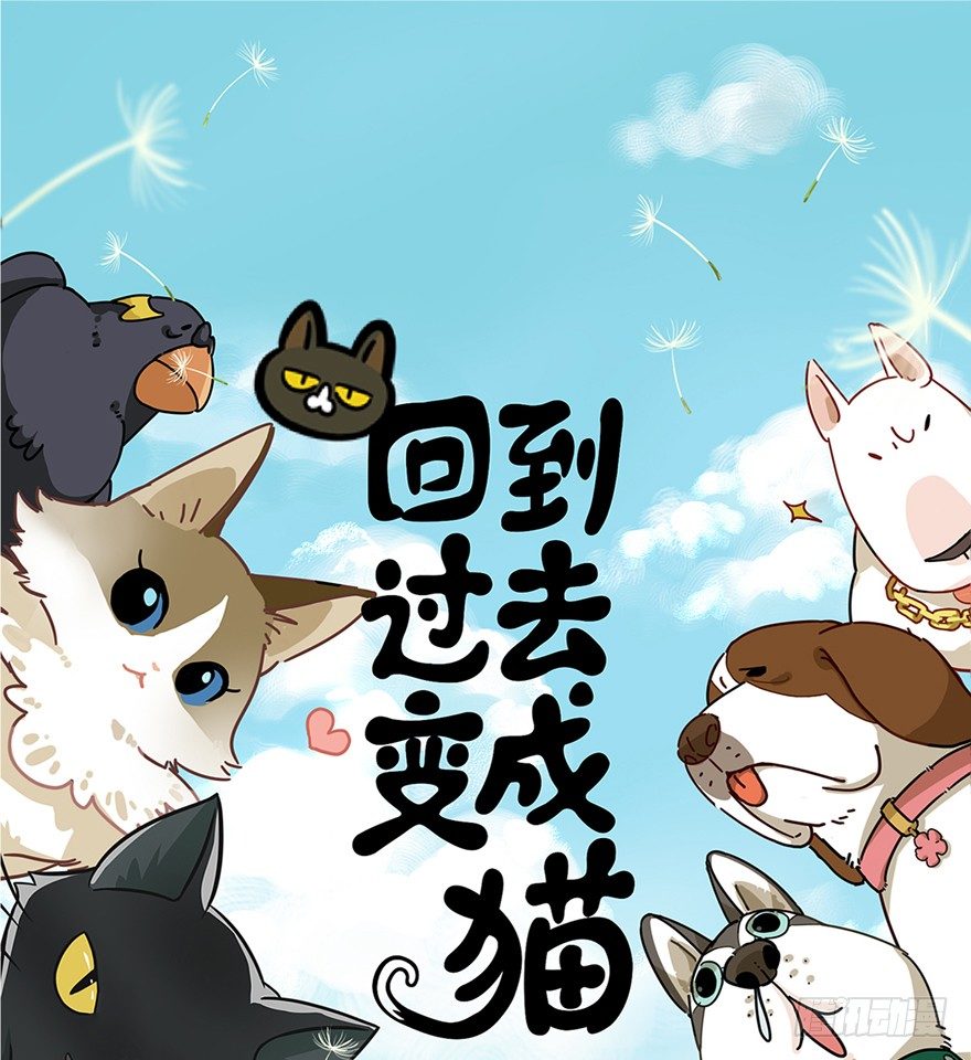 《回到过去变成猫外传》第58爪 到底是谁（上） 第1页