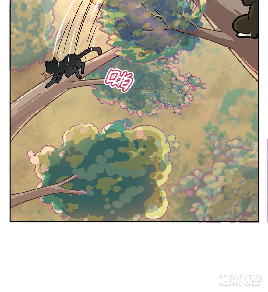 《回到过去变成猫外传》第58爪 到底是谁（上） 第20页