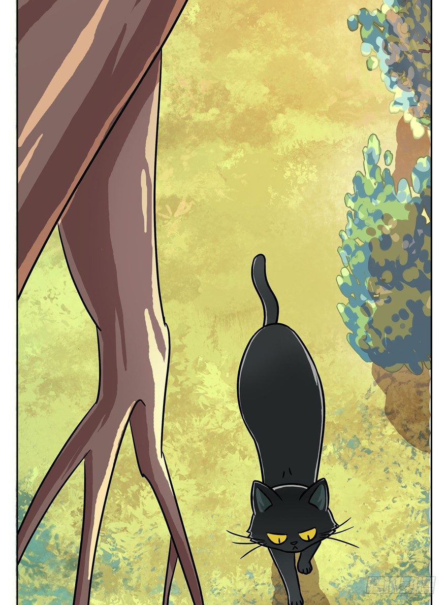 《回到过去变成猫外传》第58爪 到底是谁（上） 第24页